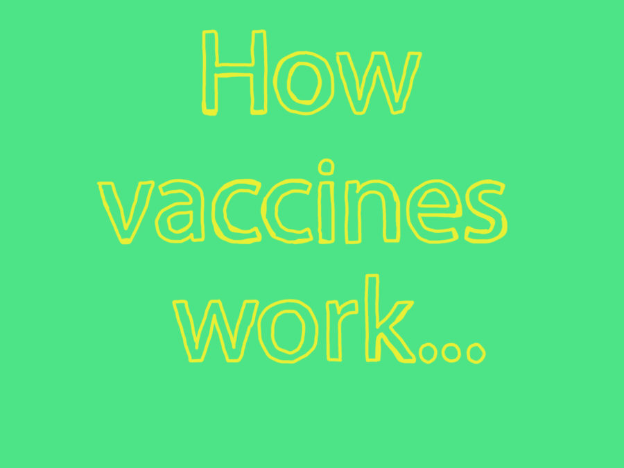 How+vaccines+work