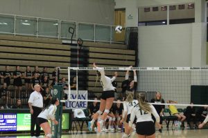 Senior Natalie Stepanovich plays a game against Perry High School. Stepanovich recently accepted a D1 scholarship to play volleyball.