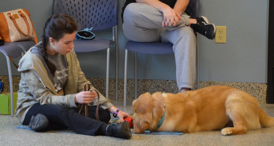 Introductions: Junior Jana Walther plays with her service dog, Graham, at their class. “Every day for the 10 days we were there we had to do a lot of work in training ourselves with the dogs because they were already fully trained. We had to know commands and different things,” Walther said. Eagle photo courtesy of Jana Walther.