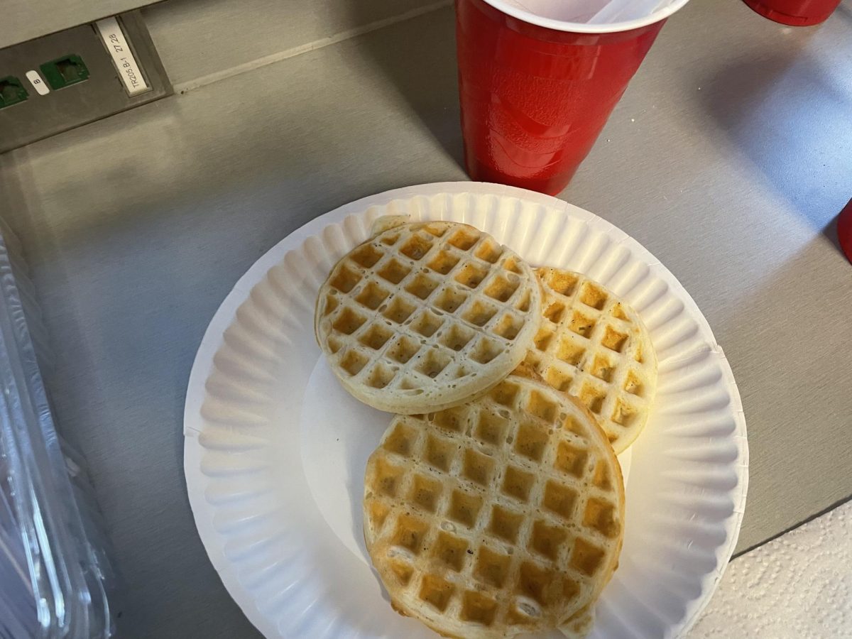 waffle, red solo cup
