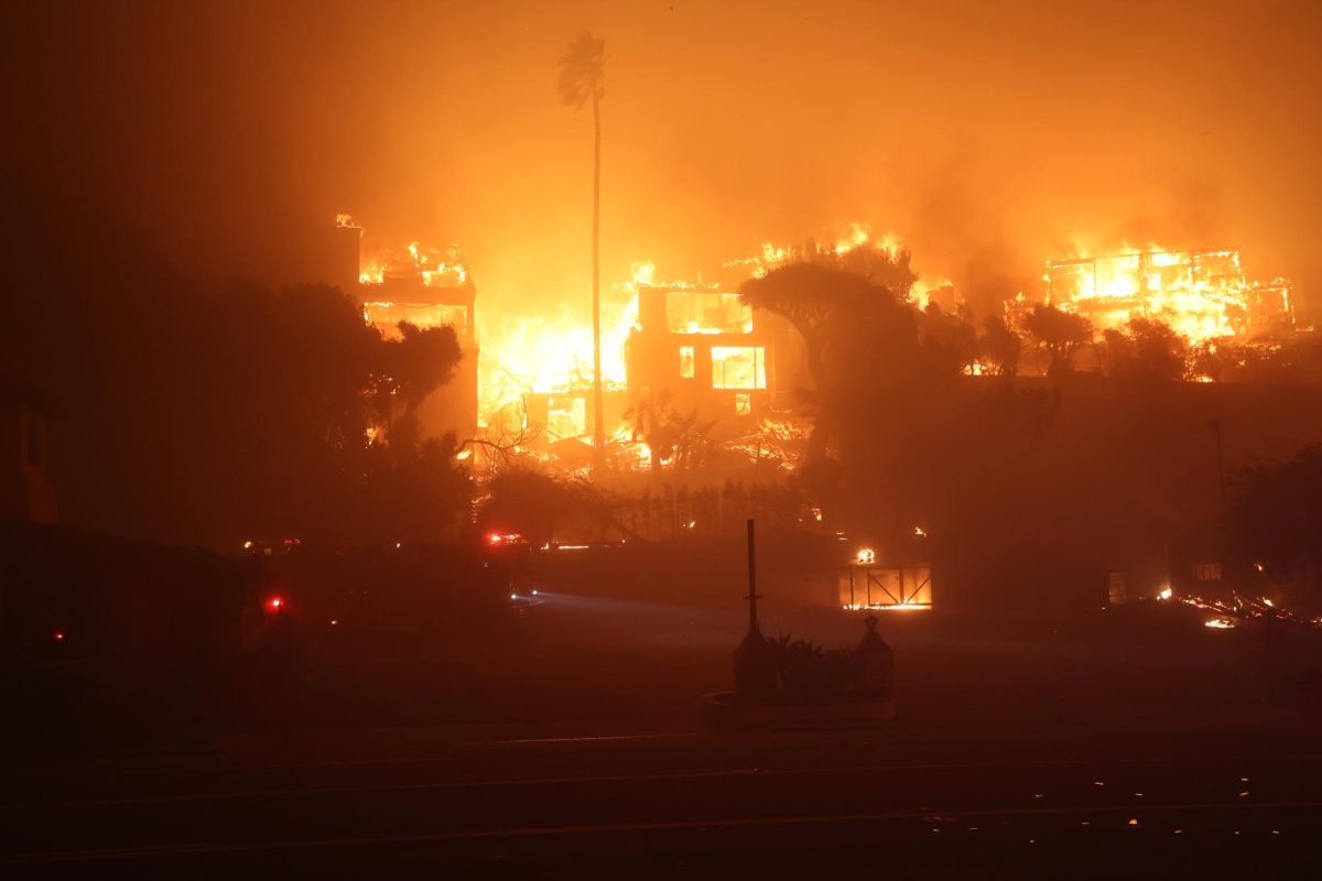 Pictures from the Palisades fire which started on Jan. 7.