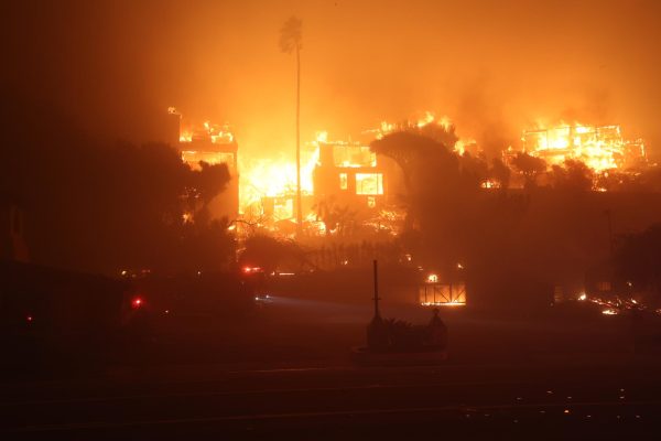 Pictures from the Palisades fire which started on Jan. 7.