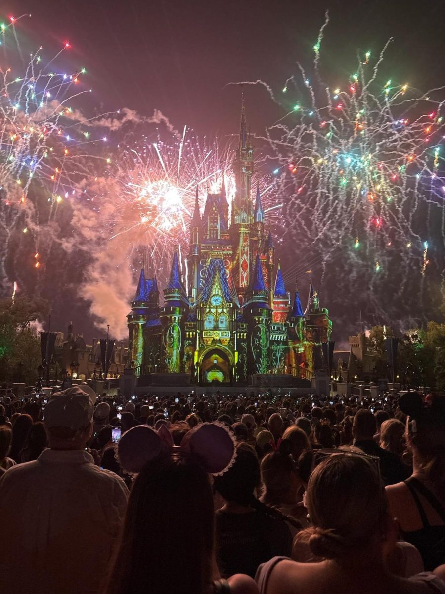 The Disney Castle last spring when the band went to Disney. 